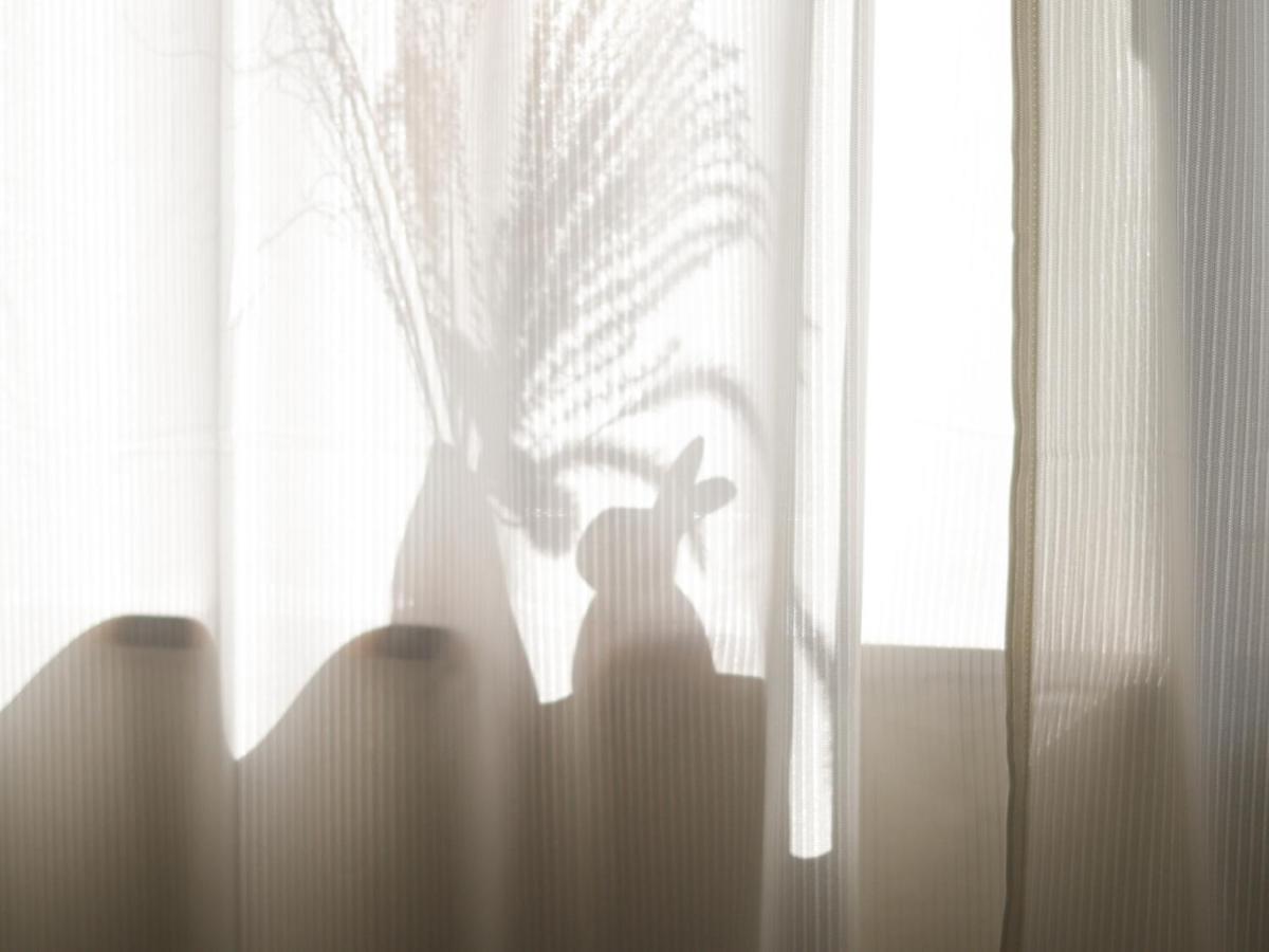 貸別荘 ウサギの郷 Fujikawaguchiko Extérieur photo